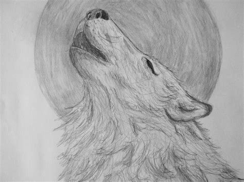 Wolf Howling At Moon Sketch at PaintingValley.com | Explore collection ...