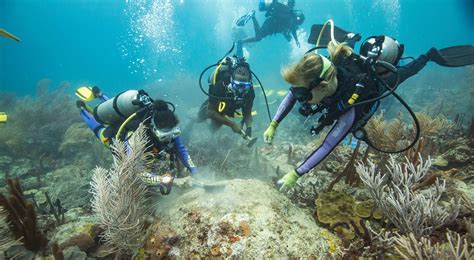 A Revolution in Coral Conservation | The Nature Conservancy