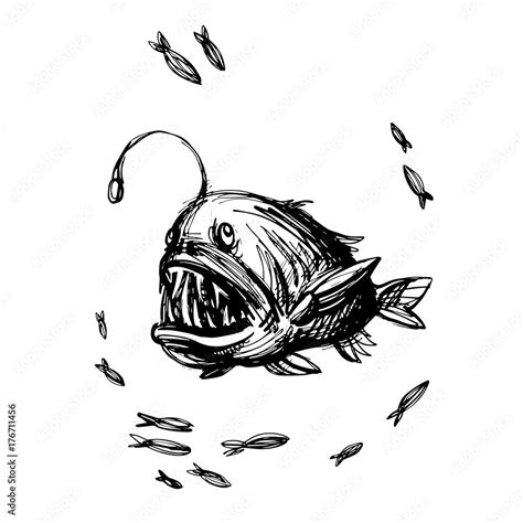 Handsketched angler fish, toothy fish monster. Monkfish ink sketch, deep water angler. Fish and ...