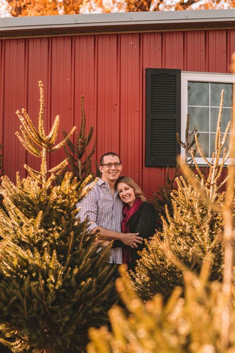 Austin Family - Mini session at the Christmas Tree Farm - Kristin Brown ...