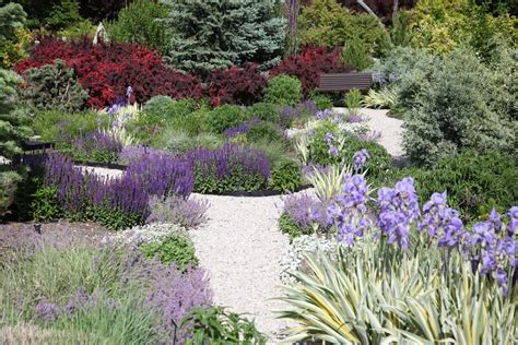 Best Perennials and Grasses for Utah