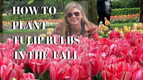 Growing Tulips in the Fall - How to Plant Tulip Bulbs | Kelly Lehman | Planting tulips, Growing ...