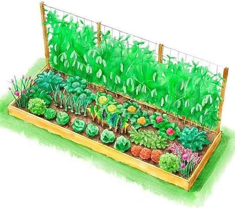 Winter Season Raised Garden Bed Plan | Raised Garden Bed Plans For A ...