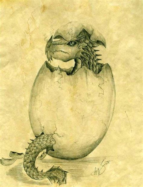 Dragon hatching by SunStateGalleries | Dragon artwork, Dragon images, Baby dragons drawing