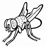 Fly Coloring Pages For Kids Sketch Page sketch template