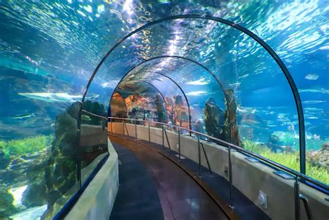 Aquarium de Barcelone : infos pratiques, tarifs et billets combinés