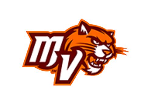 Mountain View Senior Wildcats - Official Athletic Website – Stafford, VA