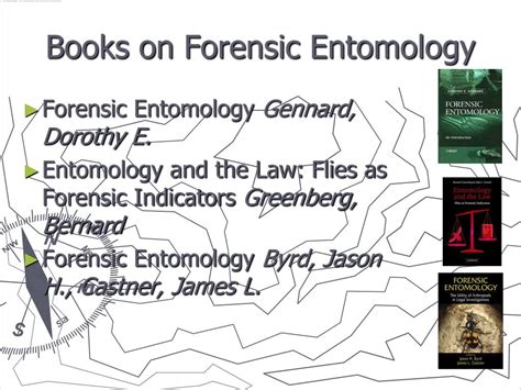 PPT - Forensic Entomology PowerPoint Presentation, free download - ID:28563