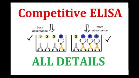 Competitive ELISA - YouTube