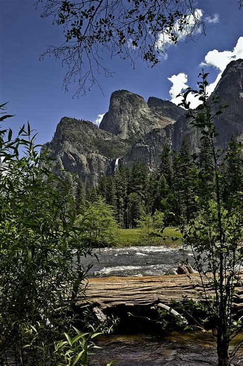 Yosemite Cathedral Peak Photograph by LeeAnn McLaneGoetz McLaneGoetzStudioLLCcom