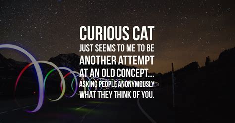 Parents, Look Out for Curious Cat - Adam McLane