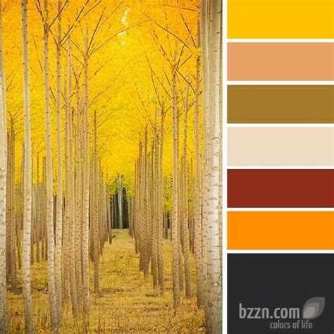 Deep yellow | Color palette yellow, Color of life, Color textures