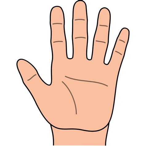 Free Outline Of Hand, Download Free Outline Of Hand png images, Free ClipArts on Clipart Library