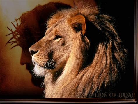 Lion of Judah Wallpapers - Top Free Lion of Judah Backgrounds ...