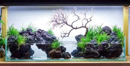 Red Lava Rocks – Aquarium Hobby