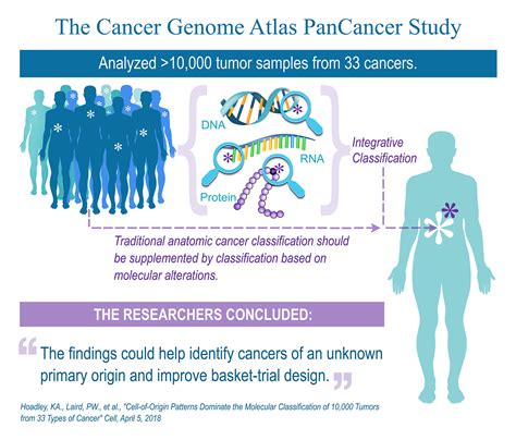 Genomic analysis of thousands of tumors supports new cancer classification