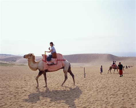 Tottori Sand Dunes - ViewKick