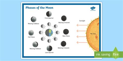 Moon Phases Poster | Earth and Space | KS2 (teacher made)