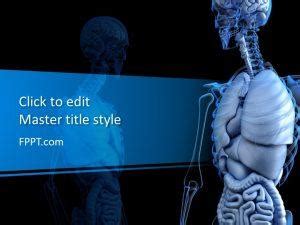 Free Skeleton Powerpoint Template - lasopatwitter