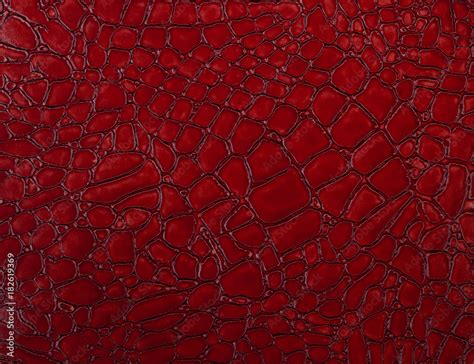 red crocodile skin texture close-up; reptile texture as background Stock Photo | Adobe Stock