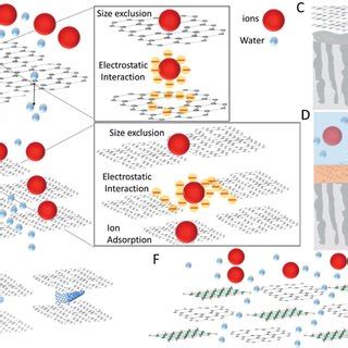 Schematics of the principles of major groups of graphene membranes... | Download Scientific Diagram