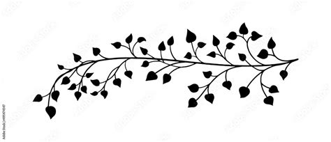 ivy vine design element, minimalistic vector of leaves in outline ...