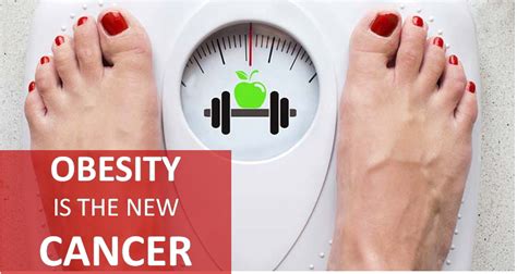 Obesity and Cancer - Cancer Healer Center