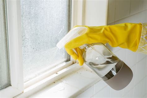 Using Bleach To Kill Mold: What You Need To Know | Storables