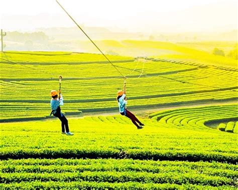 Zipline and Cycling Around Singha Park Chiang Rai | Thailand Chiang Rai DayTrip