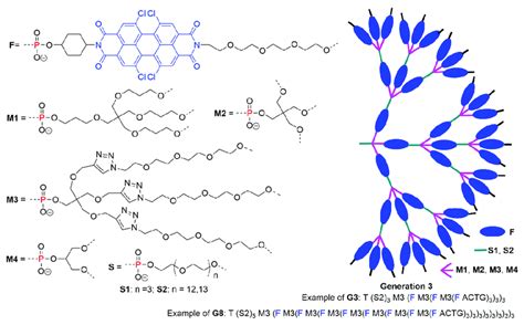 The various building blocks based on phosphoramidite reagents used for ...