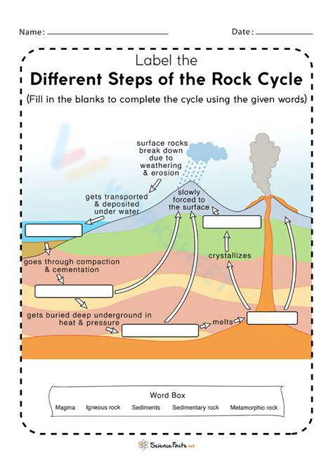 Different Steps Of The Rock Cycle Worksheet