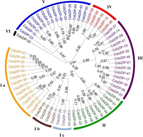 The sequences were aligned by CLUSTALW at MEGA5 and the unrooted... | Download Scientific Diagram