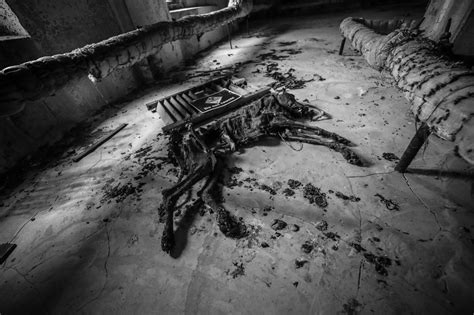 Creepy Chernobyl Pics - Cyber