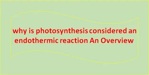 Why Respiration Is Considered As Exothermic And Photosynthesis An Endothermic Reaction ...