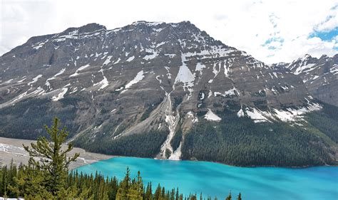 Spectacular Views of Peyto Glacier and Peyto Lake - The GateThe Gate