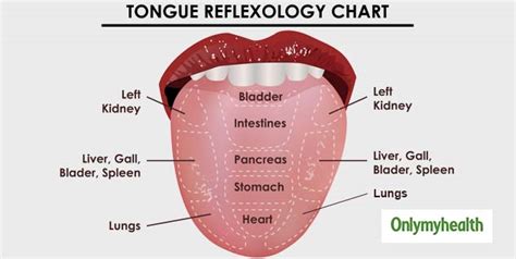 White Bumps On Back Of Tongue