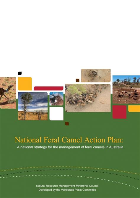 (PDF) national Feral Camel Action Plan - PDF · feral camel numbers is an important strategy in ...