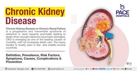 Chronic Kidney Disease - Symptoms, Stages, Causes, Risk Factors