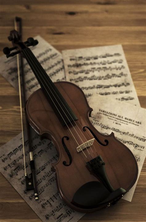 Pin by Jo Anderson on Music | Music instruments, Violin photography, Violin music