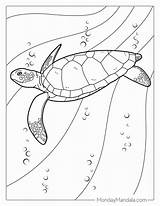Tortoise Coloring Pages For Kids sketch template