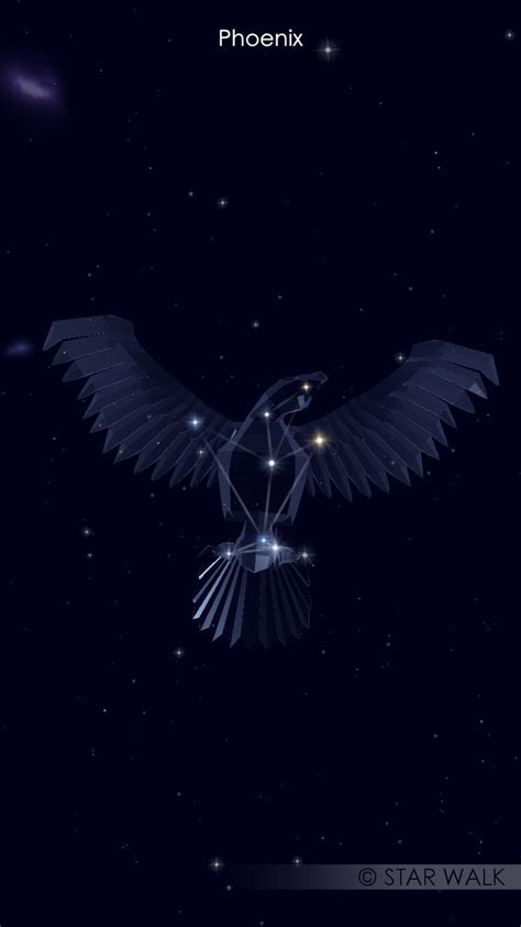 Constellation tattoo of a Phoenix | Constellation tattoos, Constellations, Phoenix tattoo