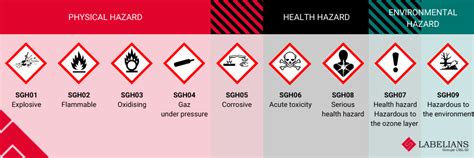 Health Hazard Pictogram