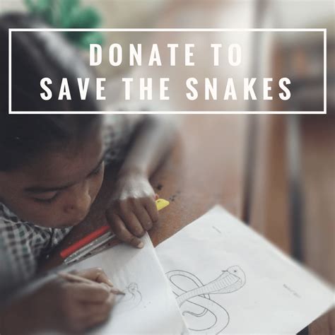 Why Snakes? - Save The Snakes