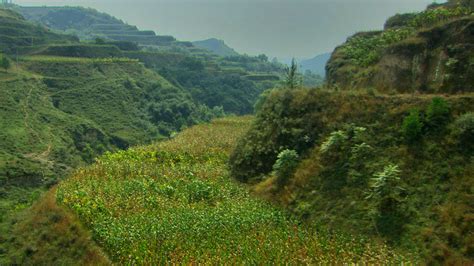 Learning to Communicate the Lessons of the Loess Plateau - Regeneration ...