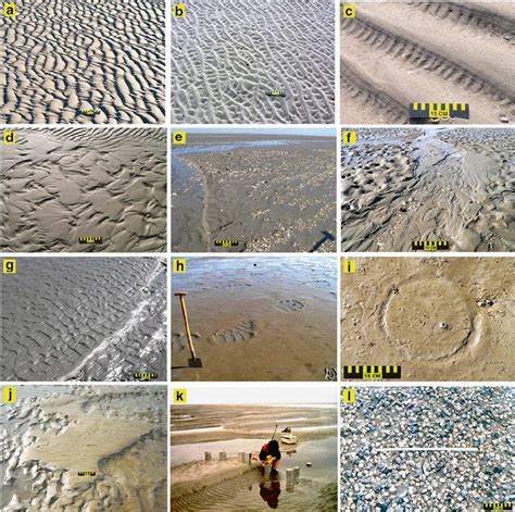 17 Physical surface structures frequently observed on tidal flats. ( a ...