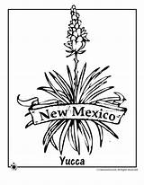 Yucca Plant Coloring Page Pages sketch template