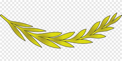 Free download | Olive leaf Olive leaf Olive branch, olive, food, leaf png | PNGEgg