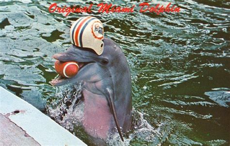 Flipper the Original Miami Dolphin | Happy memories | Pinterest