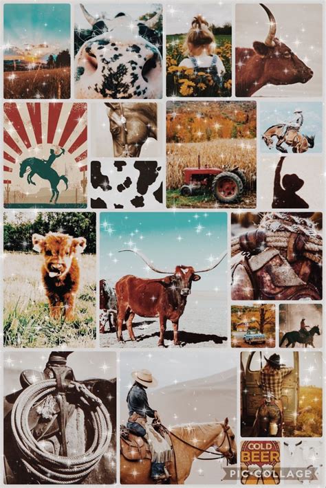 Country wallpaper | Cow wallpaper, Cute wallpaper backgrounds, Western ...