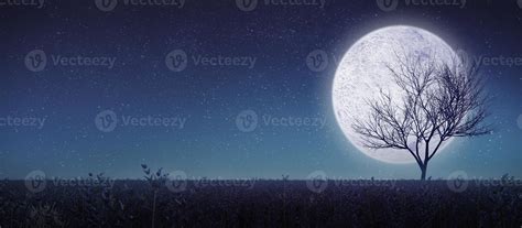 Full moon with silhouette tree and meadow.Panorama view.3d rendering ...